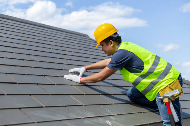 Best Roof Gutter Cleaning  in Red Bank, TN