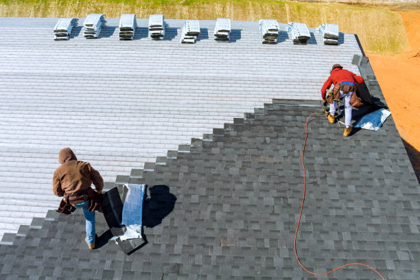 Roof Gutter Cleaning in Red Bank, TN
